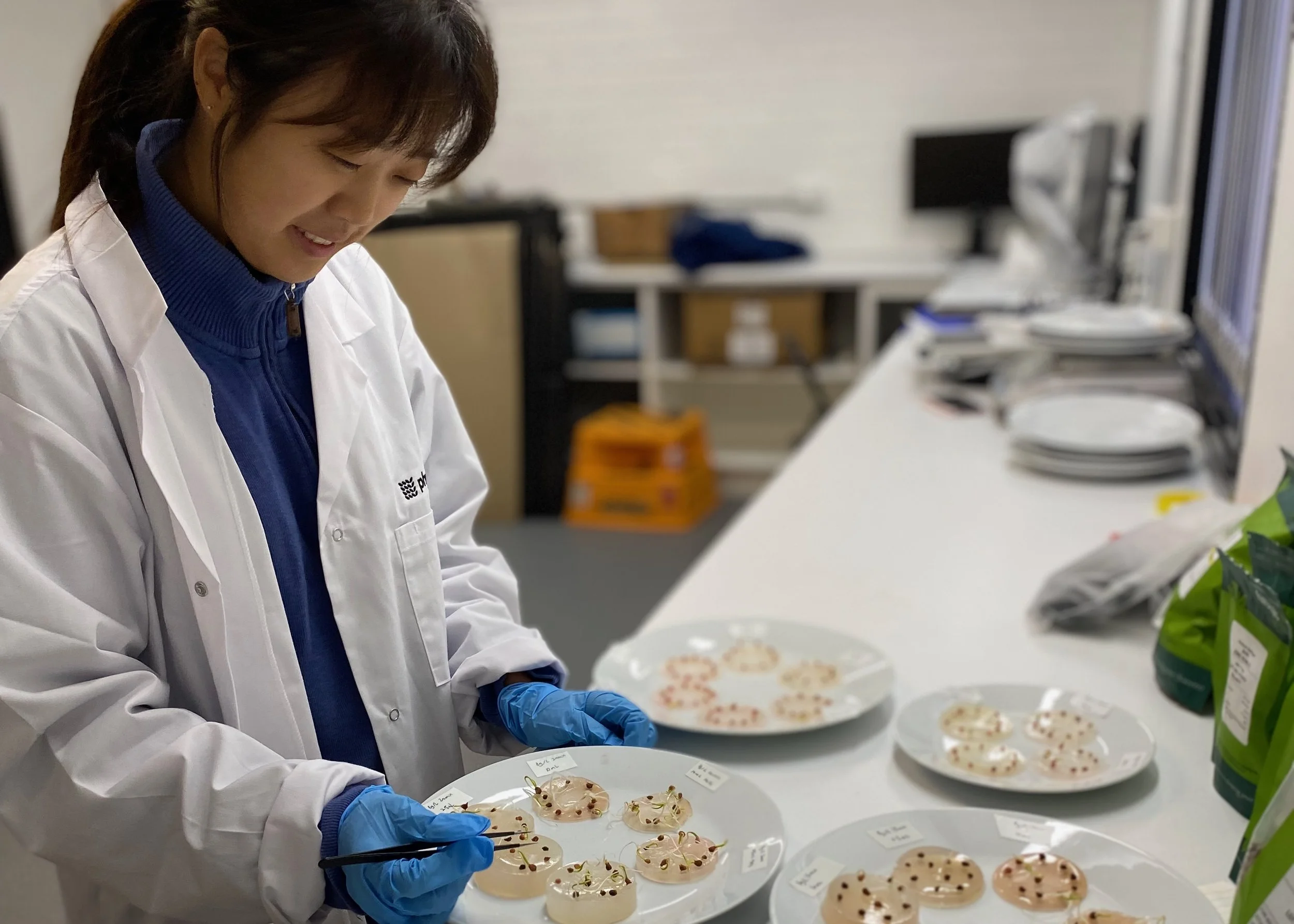 Cyclotide peptide research at the Institute for Molecular Bioscience